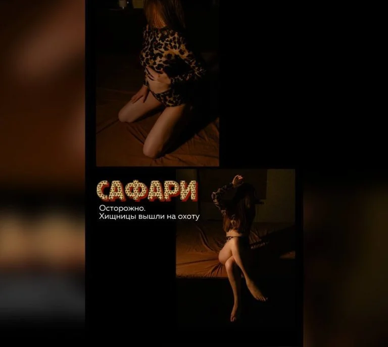 Готов к встрече с хищницами? 🐆
